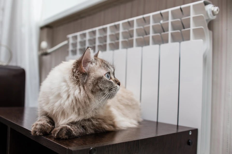 Окончание отопительного сезона в Челябинске 2026: когда отключат батареи