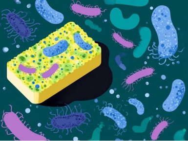 Кухонная губка как источник опасностей: что нужно знать?