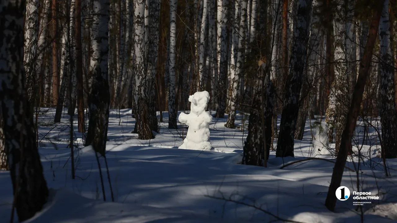Челябинцы устроили в парке импровизированную выставку снеговиков Челябинцы устроили в парке импровизированную выставку снеговиков