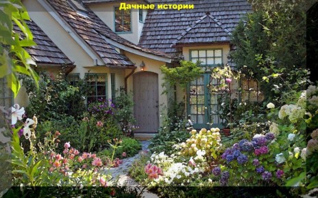 Ответы на волнующие вопросы о дачном хозяйстве