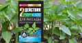 Когда начинать подкармливать рассаду?