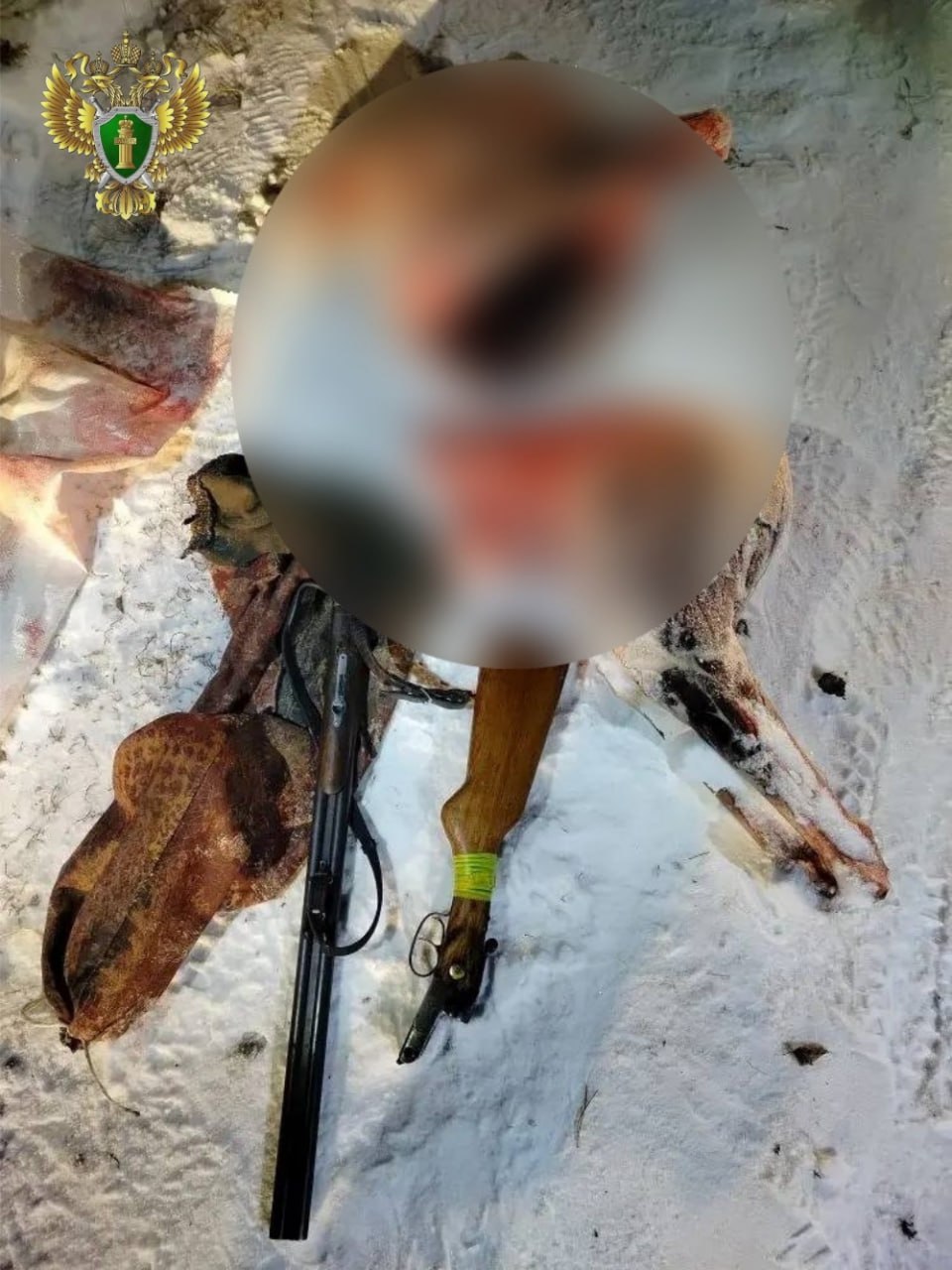 Прокуратура Кунашакского района направила в суд уголовное дело о незаконной охоте на косулю Прокуратура Кунашакского района направила в суд уголовное дело о незаконной охоте на косулю