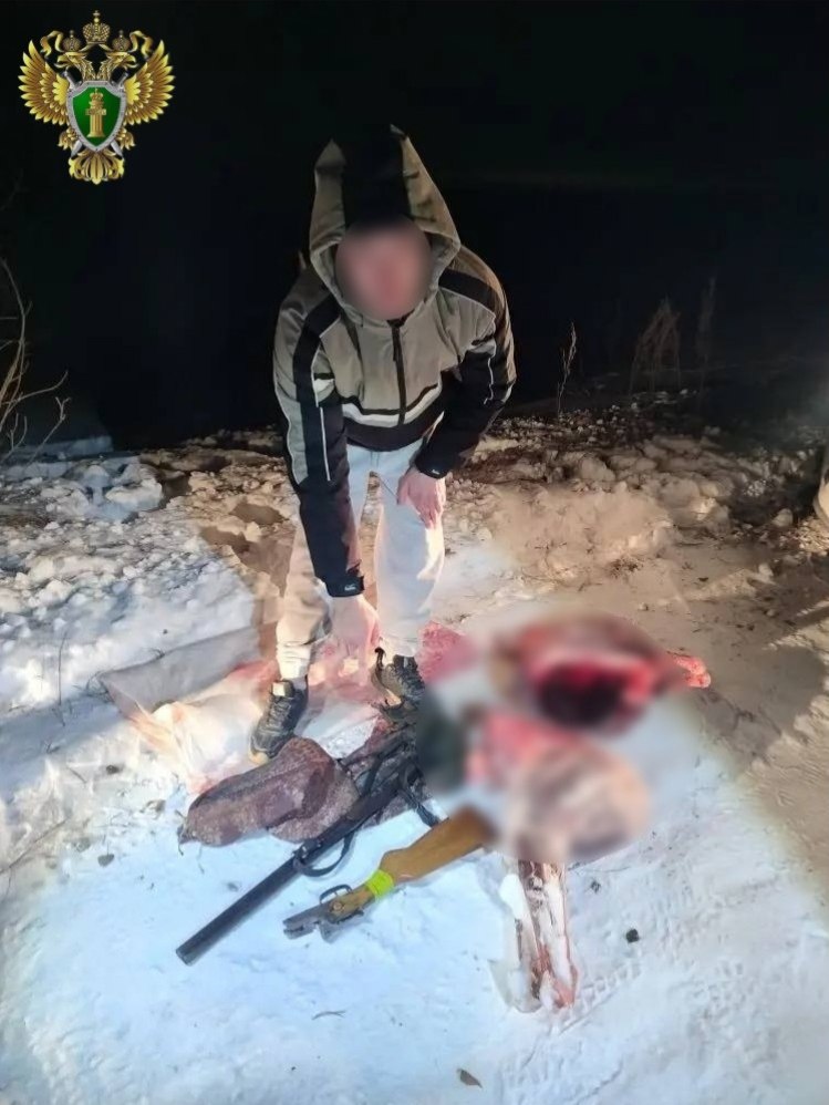 Прокуратура Кунашакского района направила в суд уголовное дело о незаконной охоте на косулю Прокуратура Кунашакского района направила в суд уголовное дело о незаконной охоте на косулю