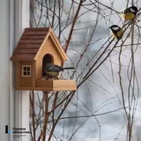 �������� ���� � ����������