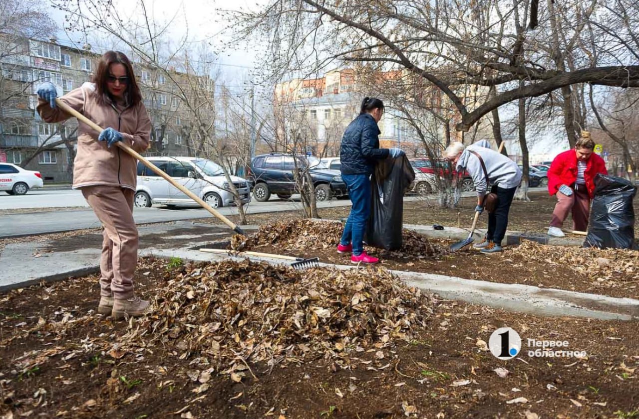 Жители Челябинской области увеличили траты на уборку весной