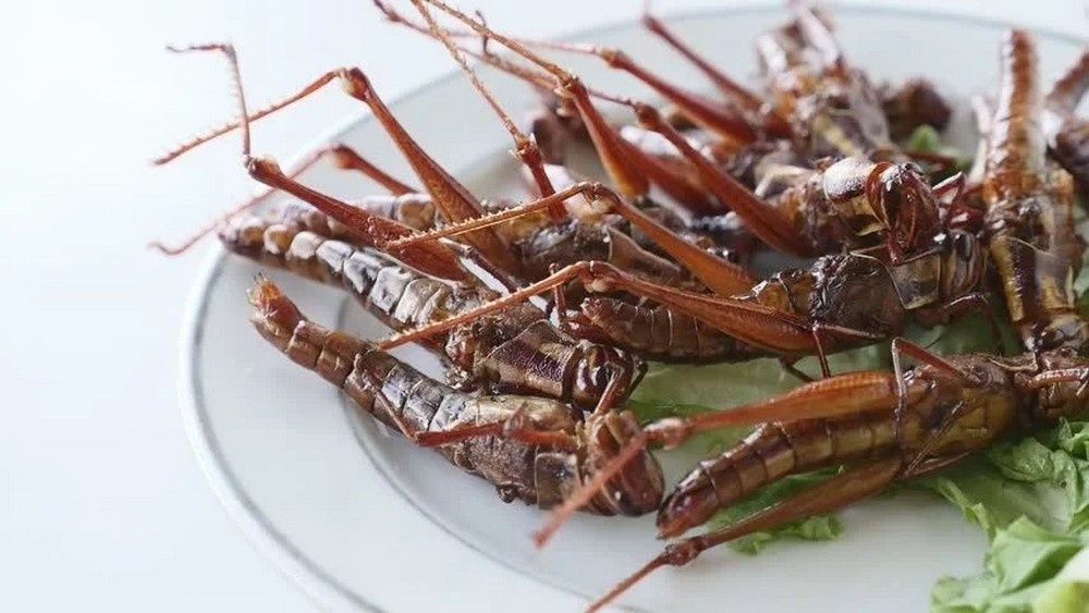 Странные деликатесы Японии, которые шокируют даже голодных