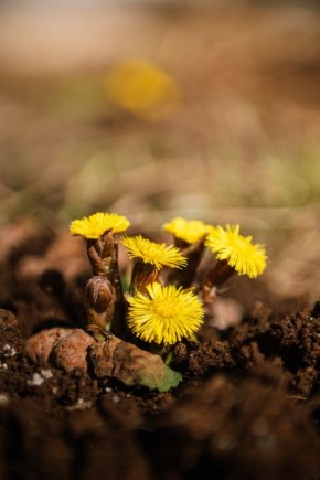 С добрым мартовским утром, земляки!