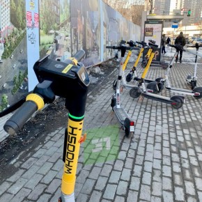 ��� ��� �����. ���� ���������������� � ����������