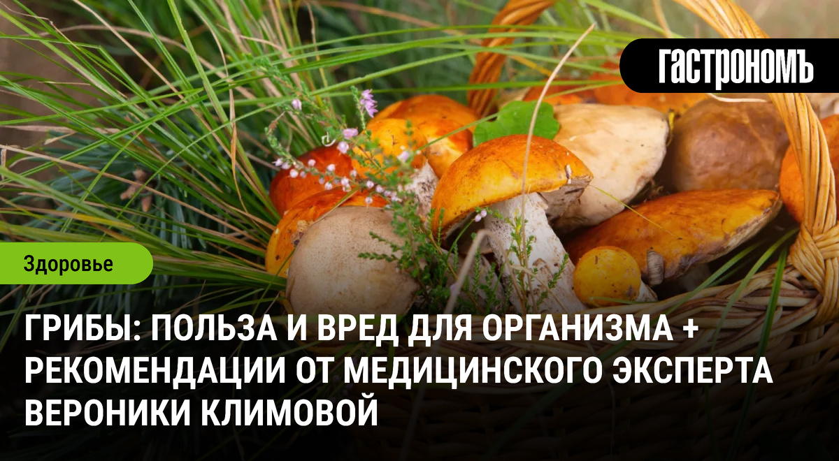 Как безопасно наслаждаться грибами: советы от экспертов