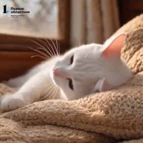 Утром в Челябинске +1°С. Ближе к обеду столбики термометров покажут +6°С