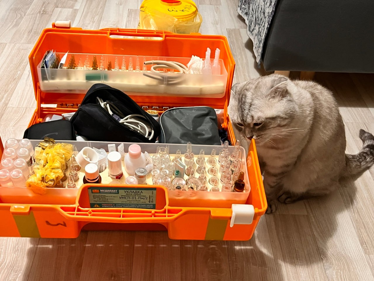 «Все выгружается и напоминает «Поле чудес» «Все выгружается и напоминает «Поле чудес»