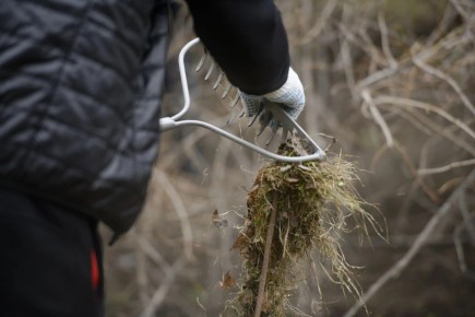 ���������� ������� ����: � ���������� ���������� ����������