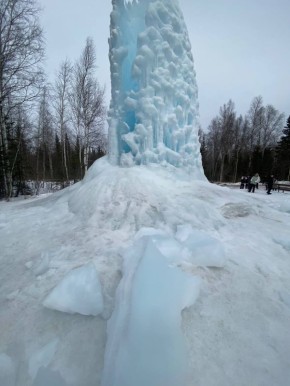 В парке Зигальга распустилась верба