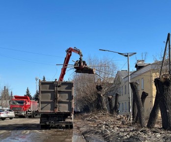 В Копейске продолжаются опиловка и обрезка деревьев и кустарников