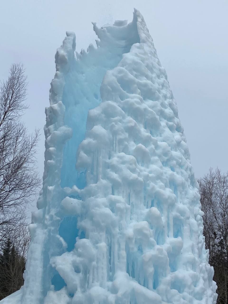 В парке Зигальга распустилась верба В парке Зигальга распустилась верба