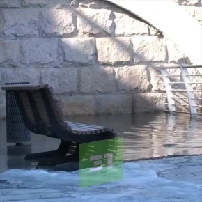 ������-����������� ����� ��������� ������� ���� � ������ � �����