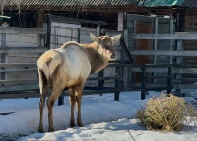 ��������� ����� ������� �� �������� ���������� ������� �����