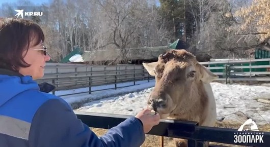 ������� �������: � ����������� �������� ����� ������� ����