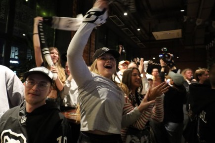 Джерси, футболки, кепки, шарфы и флаги, хоккейные шлемы и краги