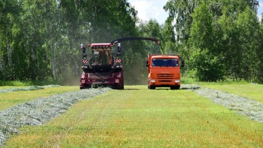 ����������� ������� ��������� ��������� �������� ��������� ���