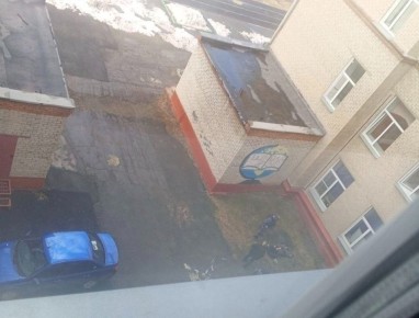 ��������� ��������: �������� ��������� �� �������� � ����������� � ����� ����������