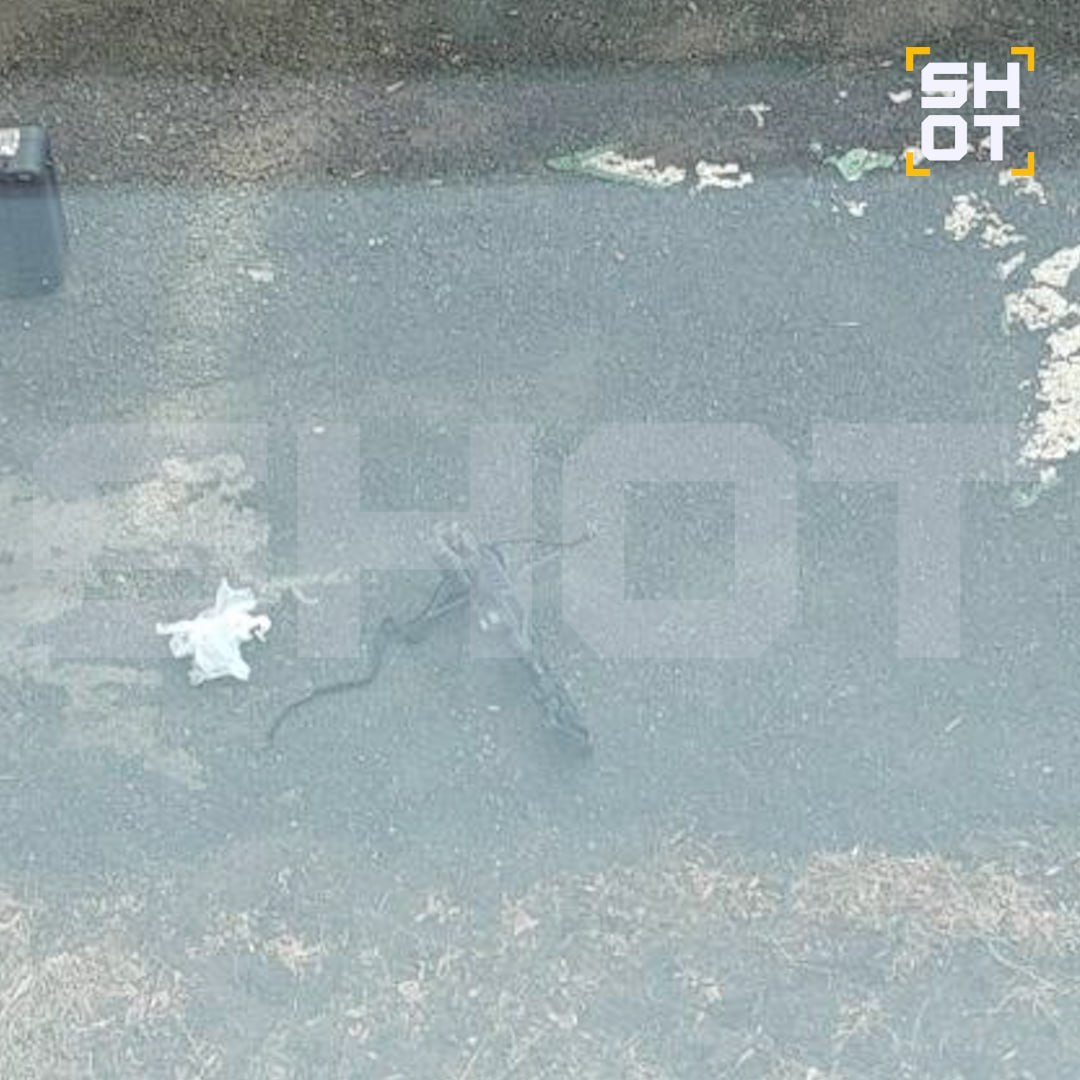 Школьник выстрелил из арбалета в одноклассницу в Челябинске