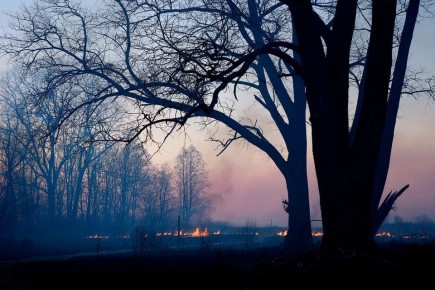 � ����� ������� ����������� ������� ������������� ������ �������� ��� 28 �����