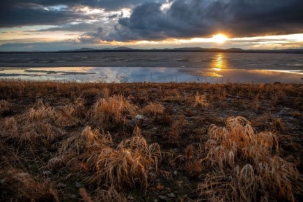 ����, ����� ������� �������� �������