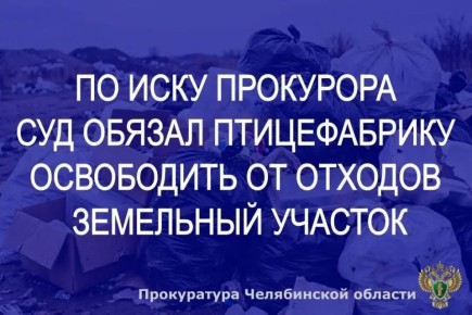 Каслинская городская прокуратура провела проверку по факту размещения отходов производства и потребления на земельном участке вблизи села Воскресенское