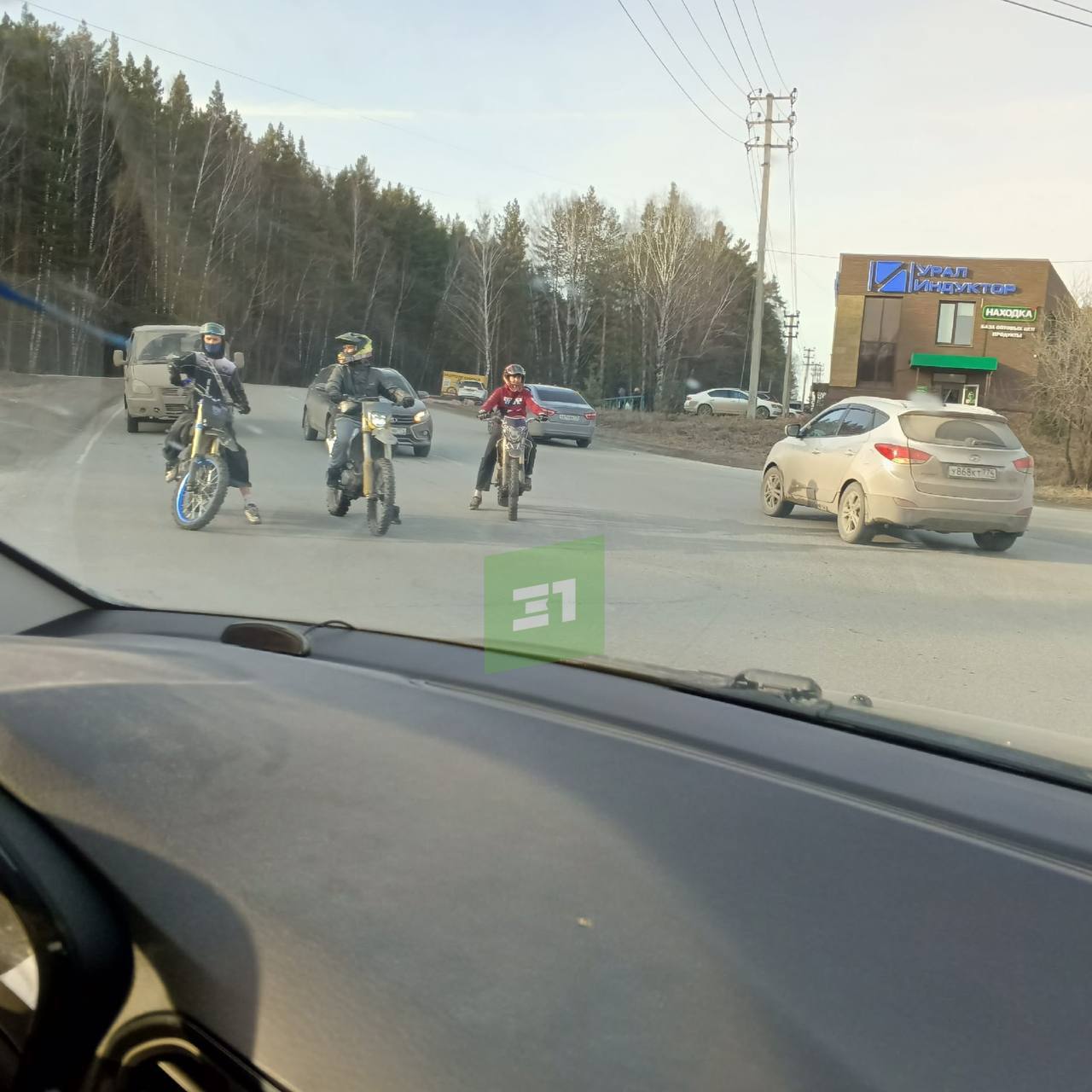 Потеплело, и они вернулись