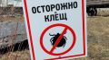 Первый случай укуса клеща в 2026 году зафиксирован в Челябинской области
