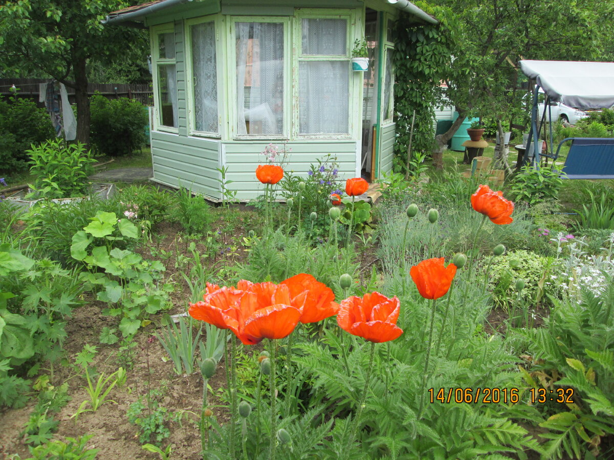 Как создать уютную беседку: бюджетный проект своими руками