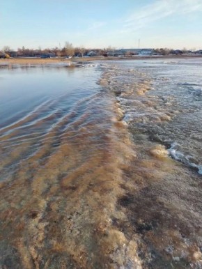 � ���������� ������ ������ ���� ��� ����