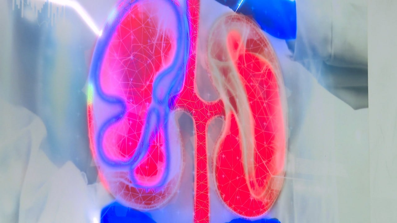 В Челябинской области пациенты с больными почками могут делать гемодиализ дома В Челябинской области пациенты с больными почками могут делать гемодиализ дома