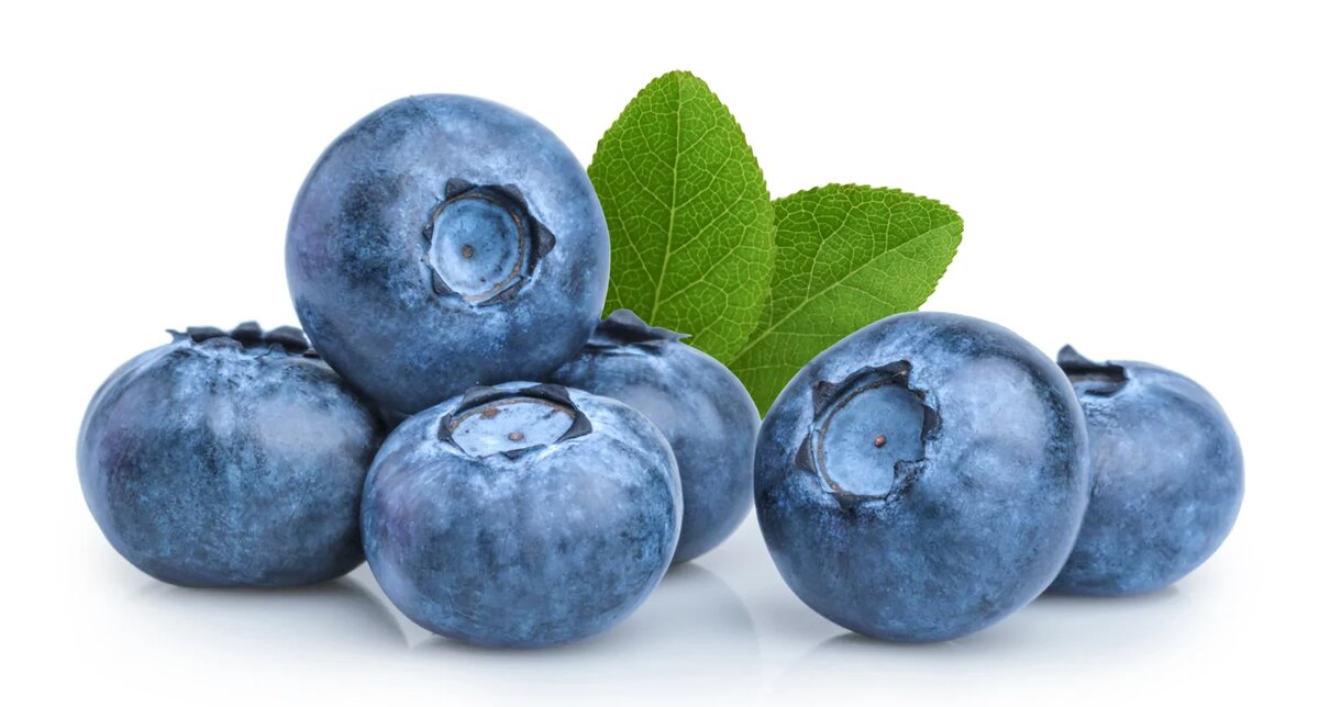 Как отличить голубику от черники: простое руководство для гурманов