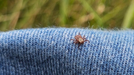 �������� ������: ������������ ����������, ��� ����������� ���� � ����� ������