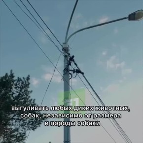 �� �������� � ������� �����, � � ���� ���. ��� ���������