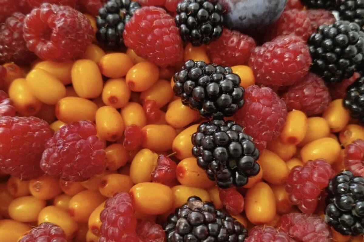 Как сохранить улыбку белоснежной во время праздников