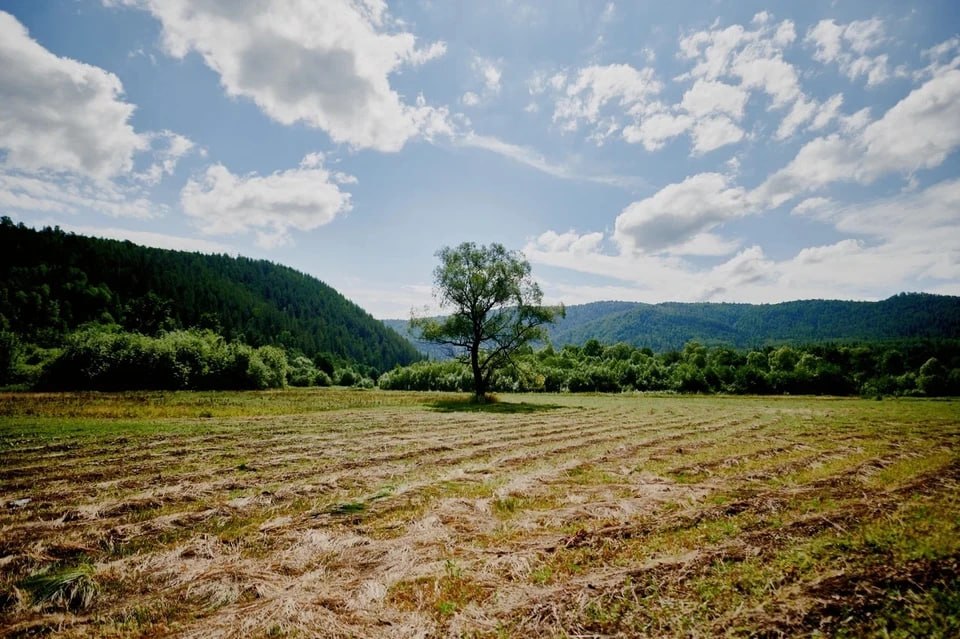 Нет дороги и света: многодетная семья больше 10 лет не может жить на участке из-за отсутствия инфраструктуры