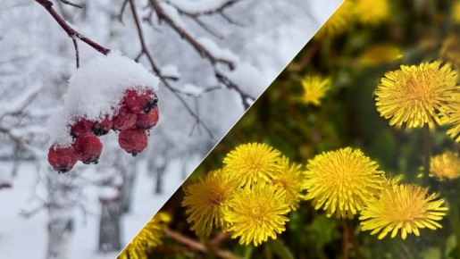 Погода в Челябинске в апреле: синоптики рассказали об аномалиях в середине весны