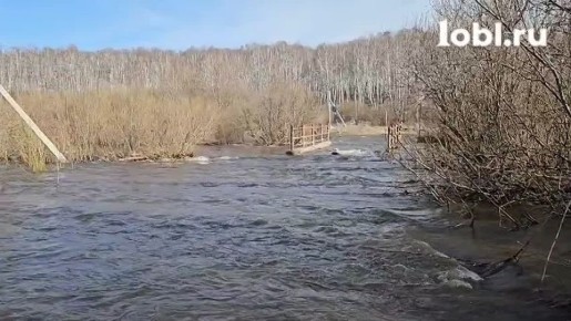 ��� ��������� ���� ����� ������ ����������� ���� ����� ������ � �������