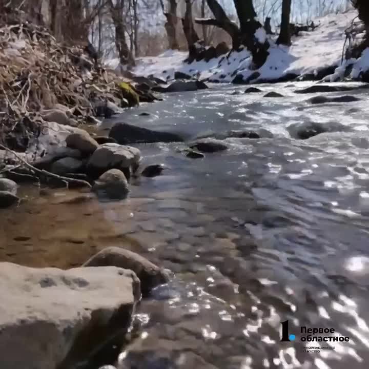 Вновь туман накроет город. Утром в Челябинске +2°С