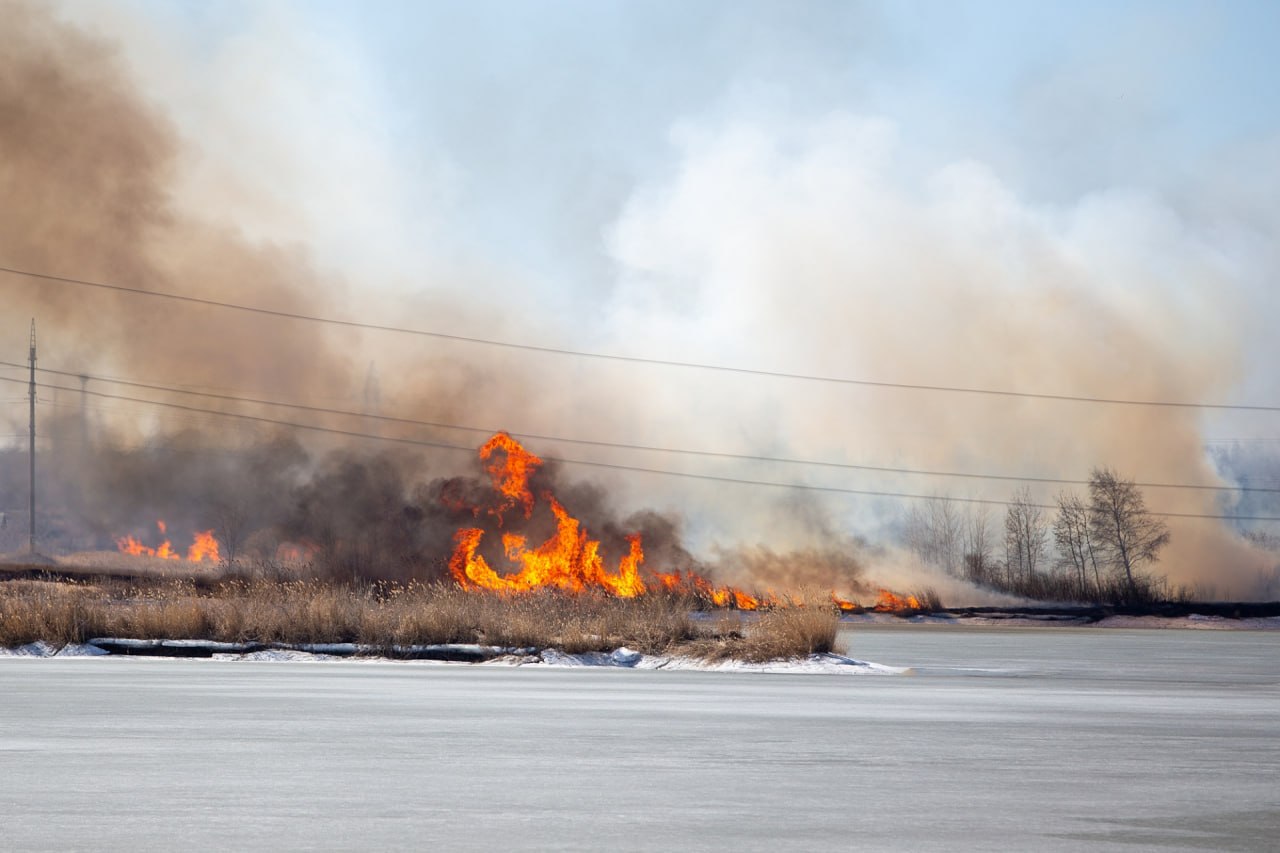Лесные пожары в Челябинской области: когда ждать наибольшей опасности Лесные пожары в Челябинской области: когда ждать наибольшей опасности