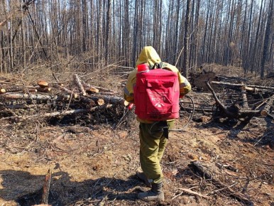 В Челябинской области объявили пожароопасный сезон: леса под усиленным контролем