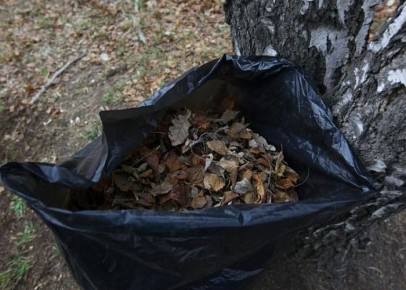 Регоператор определил порядок вывоза мешков после субботников в Челябинске