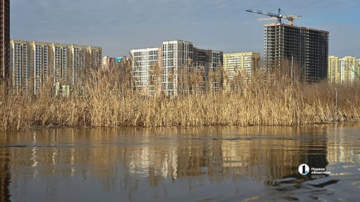 � ����������� ������� ��������� ���������, ������ ������ ���� � �����