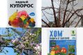 Какой препарат выбрать для весенней обработки сада: медный купорос или Хом?