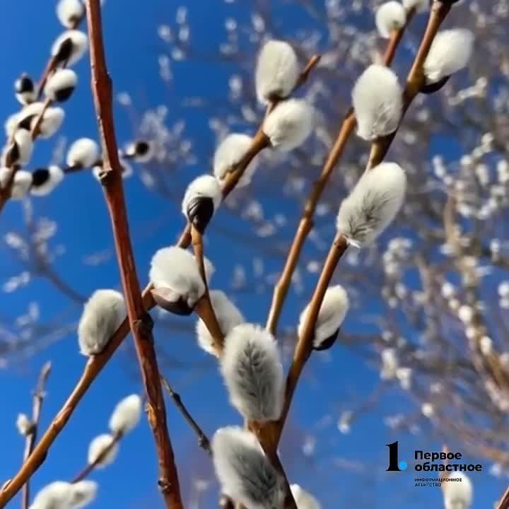 � ���������� ������ �������� � �������� ������