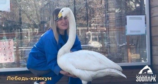 ��� ����� ���� � ����� ����������: ����������� ������� ������� �������� ��������� � ������������� ���� ����