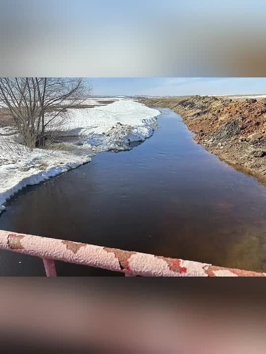 ����������� ������������� ������ ������������ ����������� ����������� �������